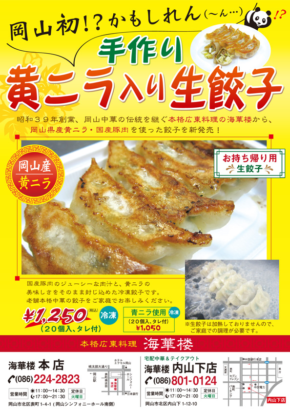 黄ニラ餃子チラシ